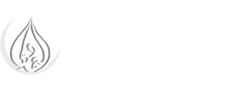 Al Emadi Hospital logo