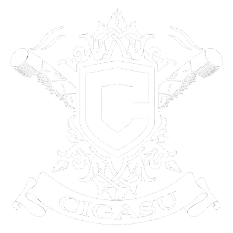 Cigasu logo