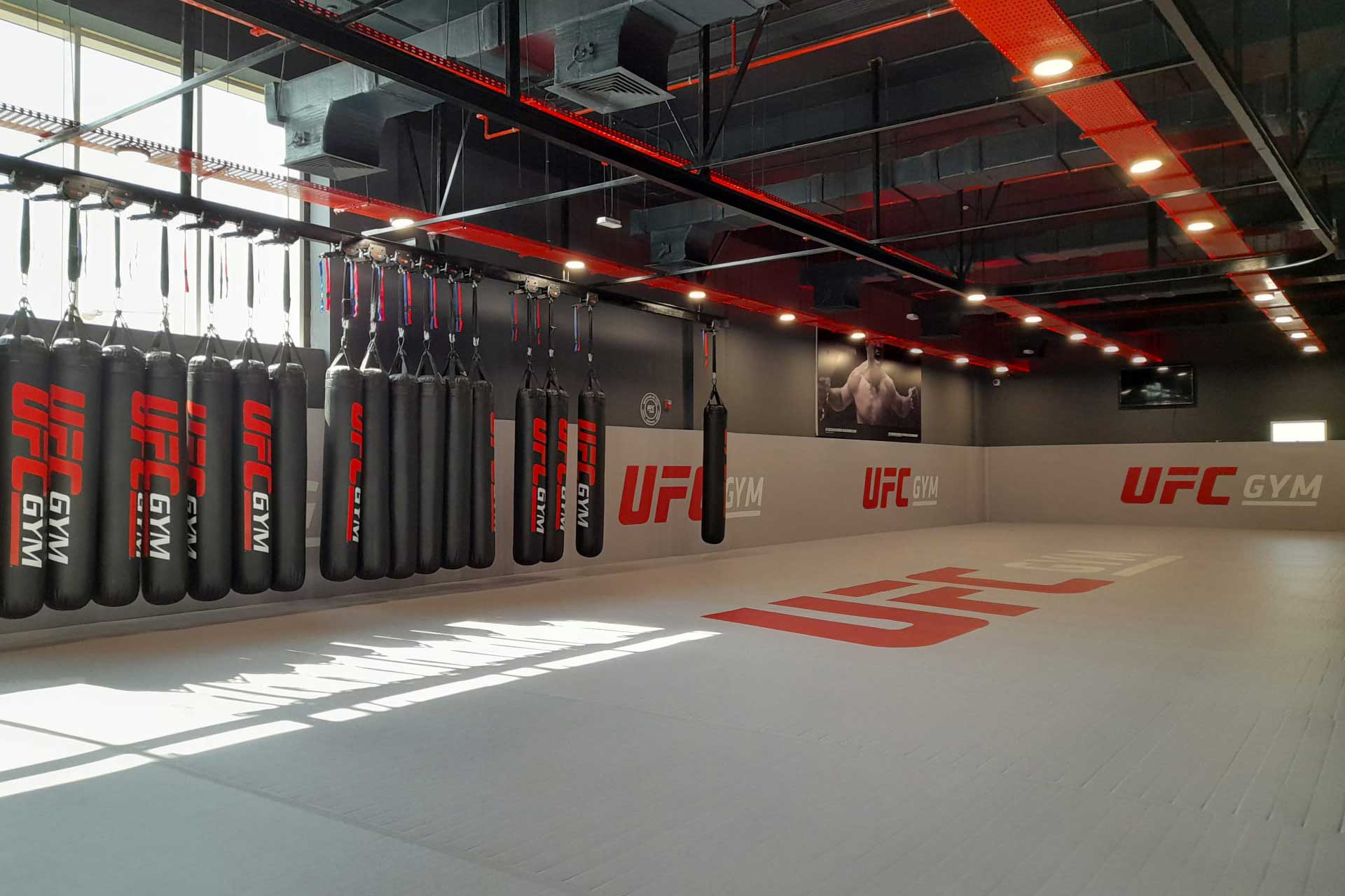 Interior of UFC GYM Qatar - image 5
